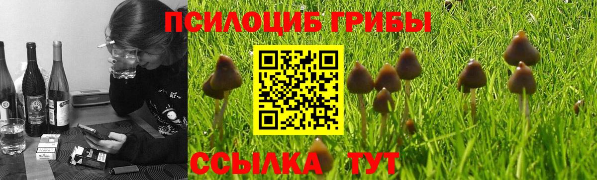 Псилоцибиновые грибы ЛСД Касимов