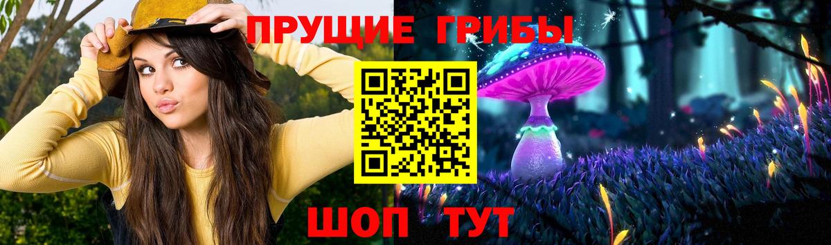 Касимов  Галлюциногенные грибы мицелий  Вход с VPN 